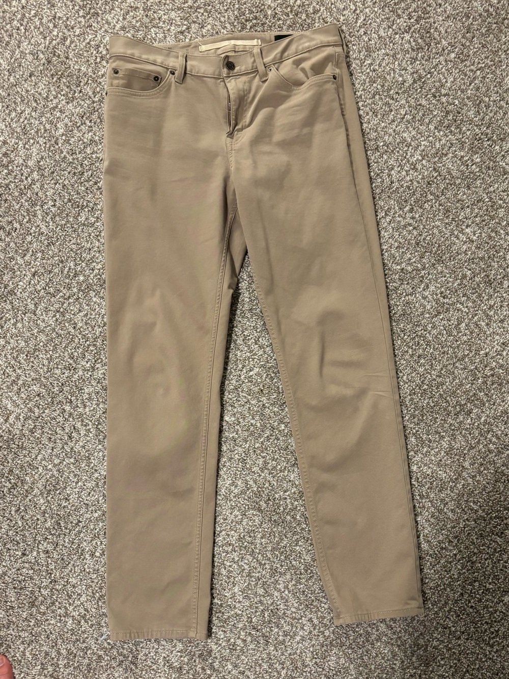 Banana Republic Slim Fit Chinos in Tan